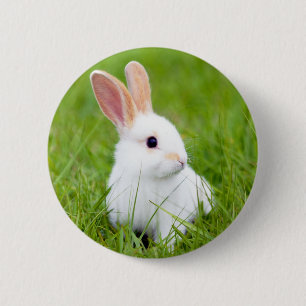 Weißes Kaninchen Button