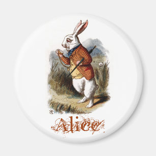 Weißes Kaninchen (Farbe) Magnet