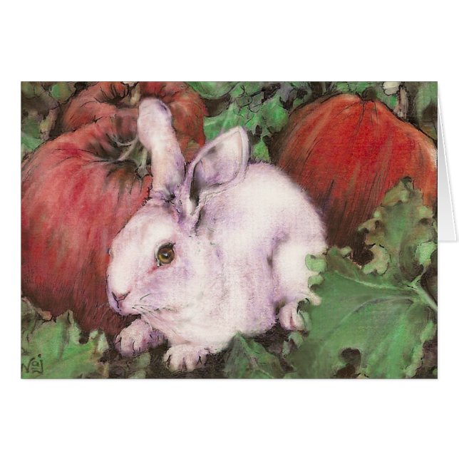 Weißes Kaninchen im Kürbis-Flecken (Vorderseite (Horizontal))