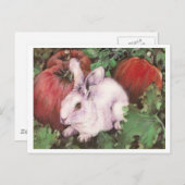 Weißes Kaninchen im Pumpkinpflaster Postkarte (Vorne/Hinten)