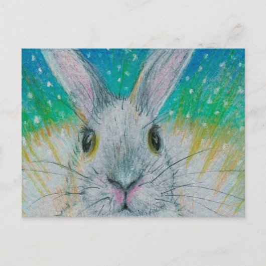Weißes Kaninchen im Schnee! Postkarte (Vorderseite)