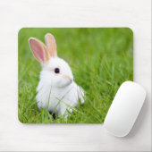 Weißes Kaninchen Mousepad (Mit Mouse)