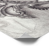 Weißes Kaninchen Poster Weißes Kaninchen Kunstwund (Ecke)