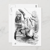 Weißes Kaninchen Postkarte (Vorne/Hinten)