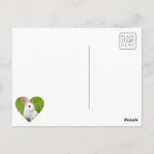 Weißes Kaninchen Postkarte (Rückseite)