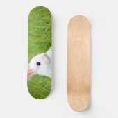 Weißes Kaninchen Skateboard (Vorderseite)