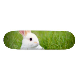 Weißes Kaninchen Skateboard