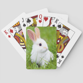 Weißes Kaninchen Spielkarten