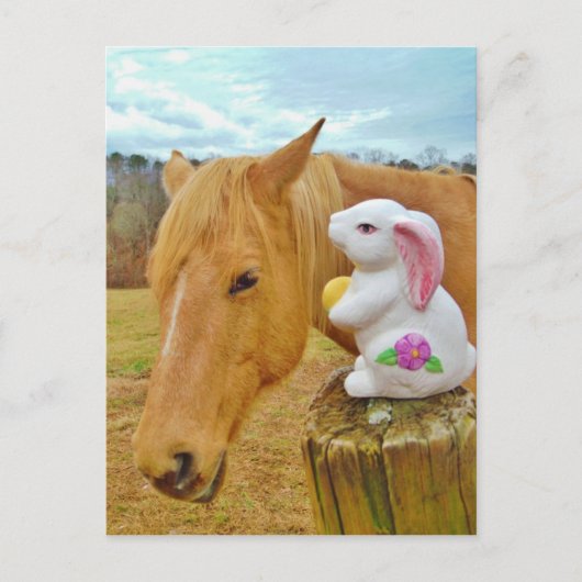 Weißes Kaninchen und blutgelbes Pferd Postkarte (Vorderseite)