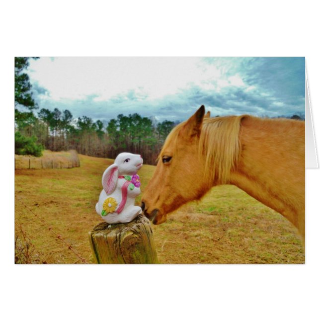 Weißes Kaninchen und Gelbes Pferd (Vorderseite (Horizontal))