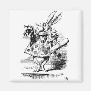 Weißes Kaninchen zurechtgemacht als Verkünder Magnet