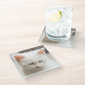 Weißes Kätzchen Glasuntersetzer (Schrägansicht)