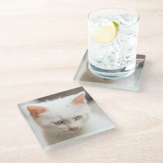 Weißes Kätzchen Glasuntersetzer (Schrägansicht)