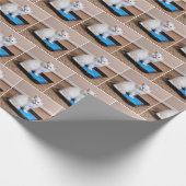 Weißes Kätzchen in blauer Farbe Geschenkpapier (Ecke)