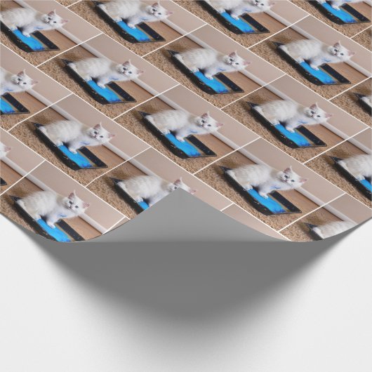 Weißes Kätzchen in blauer Farbe Geschenkpapier (Ecke)