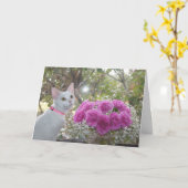 Weißes Kätzchen und rosa Gartennelken-Karte Karte (Gelbe Blume)