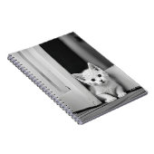 Weißes Kätzchen vor der Tür Notizblock (Rechte Seite)