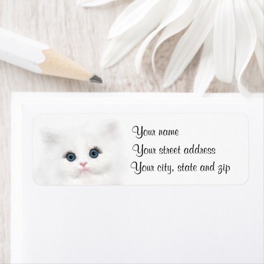 Weißes Kätzchengesicht (Insitu)