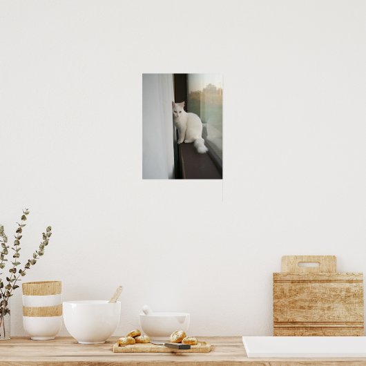 Weißes Katzenposter Poster (Küche)