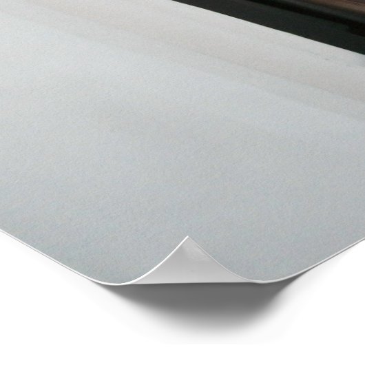 Weißes Katzenposter Poster (Ecke)