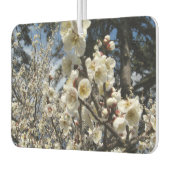 Weißes Kirschbär / Sakura / ラ(桜) Autolufterfrischer (Links)