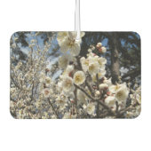 Weißes Kirschbär / Sakura / ラ(桜) Autolufterfrischer (Vorderseite)