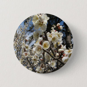 Weißes Kirschbär / Sakura / ラ(桜) Button