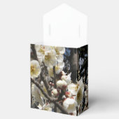 Weißes Kirschbär / Sakura / ラ(桜) Geschenkschachtel (Geöffnet)