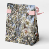 Weißes Kirschbär / Sakura / ラ(桜) Geschenkschachtel (Rückseite)