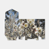 Weißes Kirschbär / Sakura / ラ(桜) Geschenkschachtel (Ungefaltet)