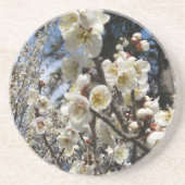 Weißes Kirschbär / Sakura / ラ(桜) Getränkeuntersetzer (Vorne)