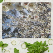 Weißes Kirschbär / Sakura / ラ(桜) Küchentuch (Gefaltet)