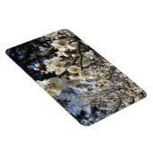 Weißes Kirschbär / Sakura / ラ(桜) Magnet (Rechte Seite)