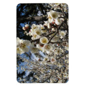 Weißes Kirschbär / Sakura / ラ(桜) Magnet (Vertikal)