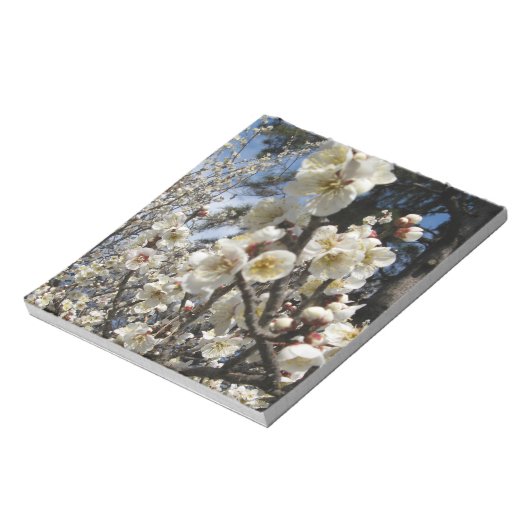 Weißes Kirschbär / Sakura / ラ(桜) Notizblock (Rotiert)