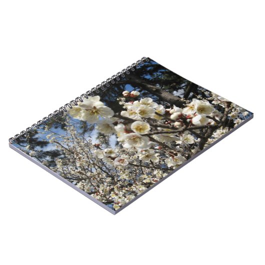 Weißes Kirschbär / Sakura / ラ(桜) Notizblock (Linke Seite)