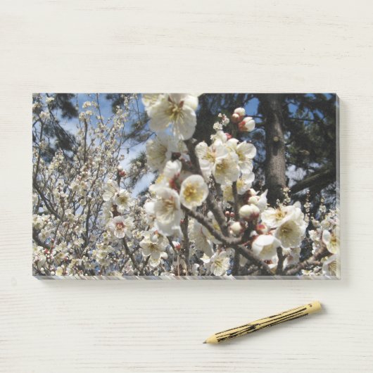 Weißes Kirschbär / Sakura / ラ(桜) Post-it Klebezettel (Auf Schreibtisch)