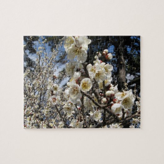 Weißes Kirschbär / Sakura / ラ(桜) Puzzle (Horizontal)