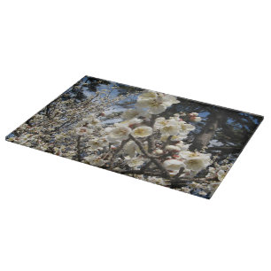 Weißes Kirschbär / Sakura / ラ(桜) Schneidebrett