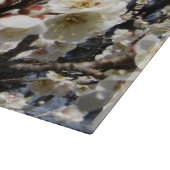 Weißes Kirschbär / Sakura / ラ(桜) Schneidebrett (Ecke)