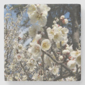 Weißes Kirschbär / Sakura / ラ(桜) Steinuntersetzer (Vorderseite)