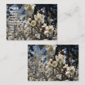 Weißes Kirschbär / Sakura / ラ(桜) Visitenkarte (Vorne/Hinten)