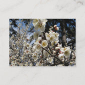 Weißes Kirschbär / Sakura / ラ(桜) Visitenkarte (Rückseite)