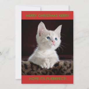 WEIßES KITTY PERSONALISIERT FEIERTAGSKARTE