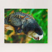 Weißes Kopfmarmosett. Puzzle (Horizontal)