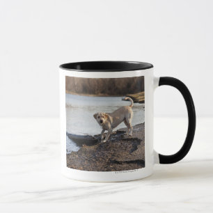 Weißes Labrador nahe einem See Tasse