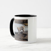 Weißes Labrador nahe einem See Tasse (Vorderseite Links)