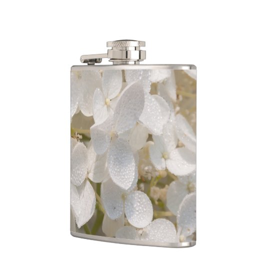 weißes Lagerschild, Blumen Flachmann (Links)