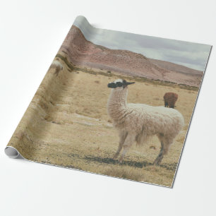WEIßES LAMA AUF BRAUNEM GRAS GESCHENKPAPIER
