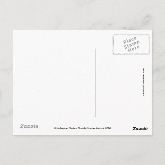 Weißes Leghorn-Huhn Postkarte (Rückseite)
